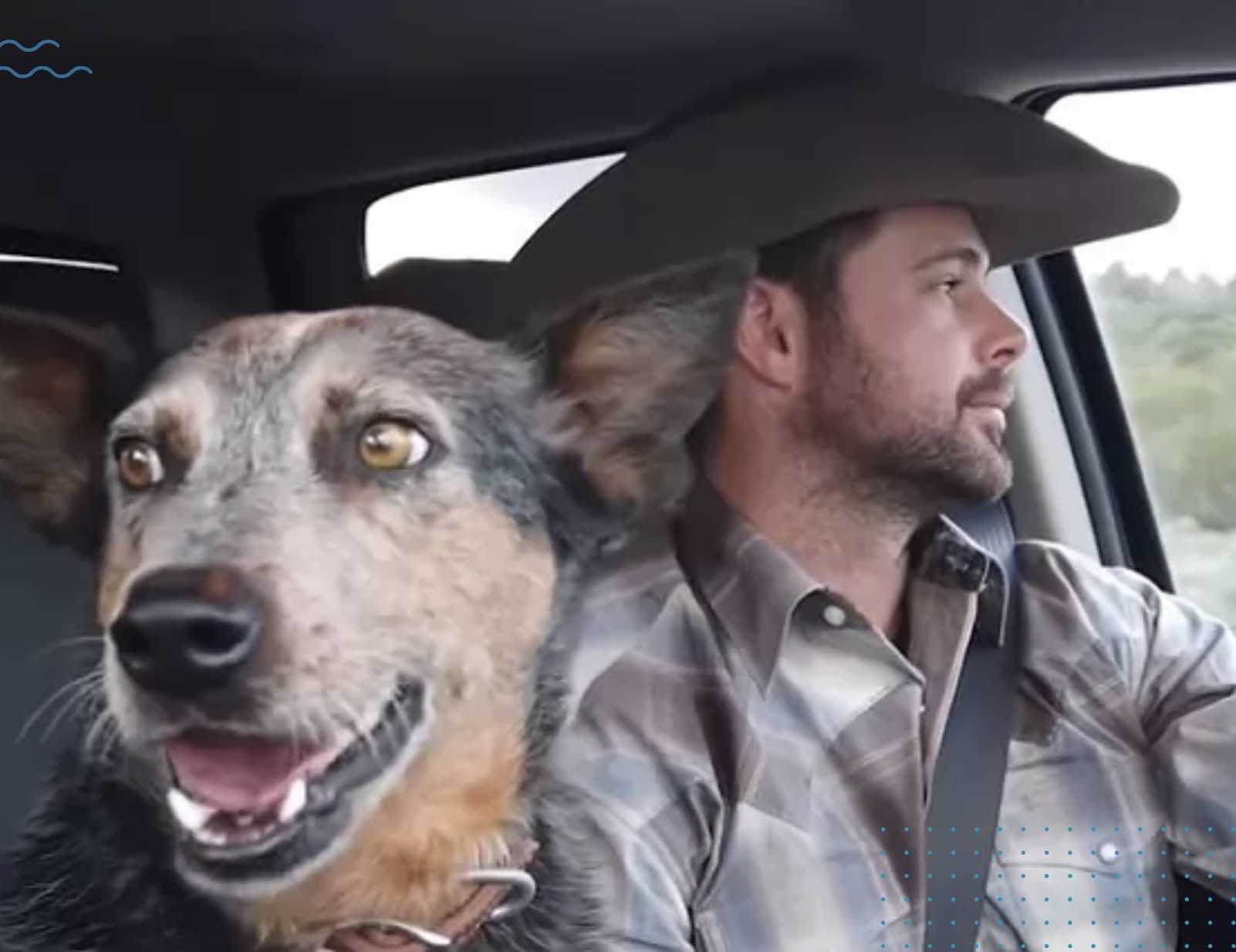 Hund singt süßes Duett mit Cowboy, nachdem ihr Lieblingslied erklingt