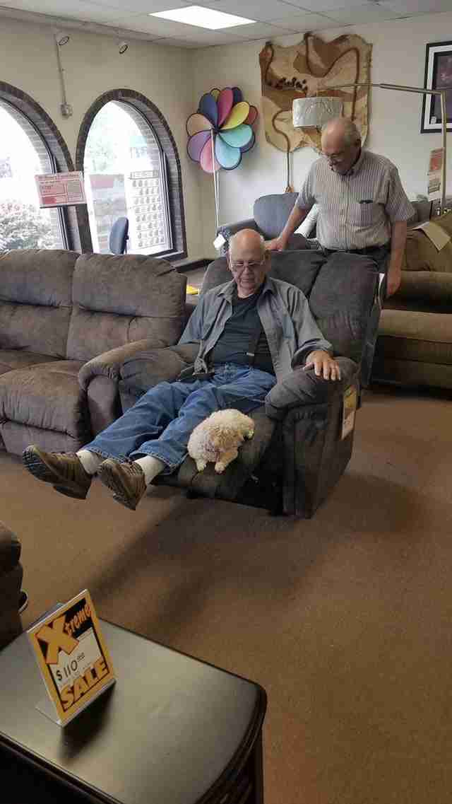 Opa brachte seinen Hund zum Möbelgeschäft, um sicherzustellen, dass sie mit ihrem neuen Stuhl einverstanden ist