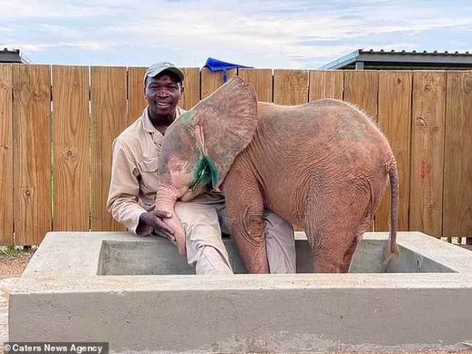 Baby-Albino-Elefant, der tagelang in einer Schlinge gefangen war, ist so glücklich, endlich in Sicherheit zu sein