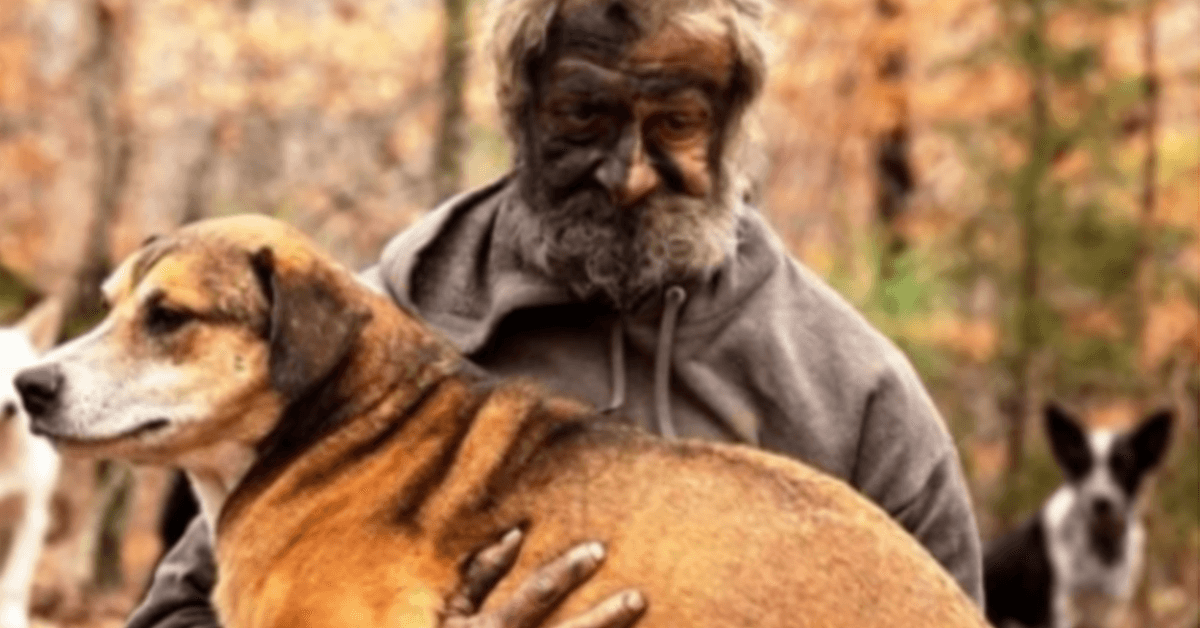Obdachloser sieht mit Tränen in den Augen zu, wie die Behörden seine 31 Hunde wegnehmen