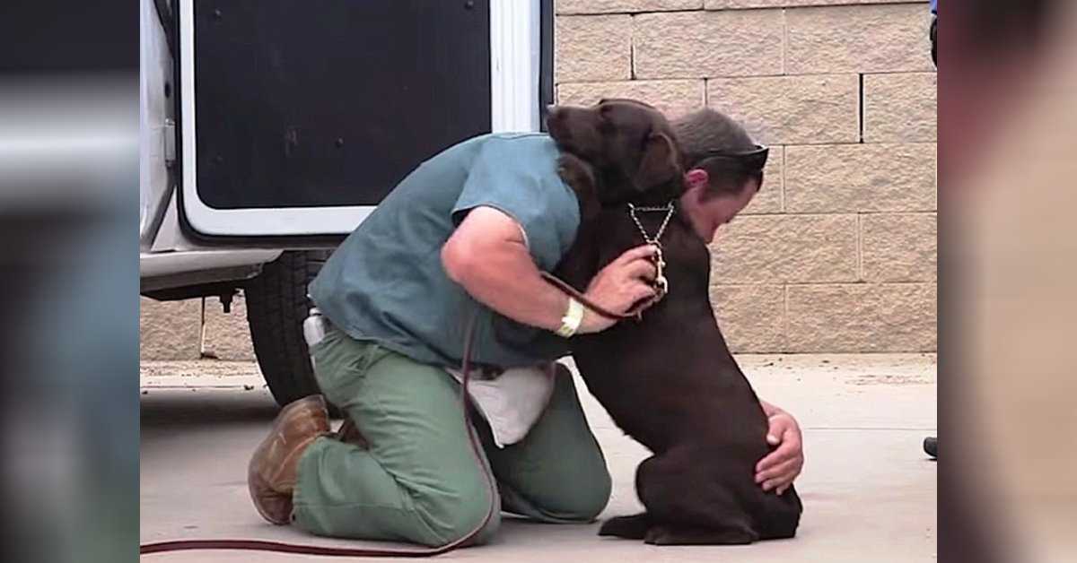 Ein Hund wurde eingeschläfert, aber ein Insasse umarmte sie fest