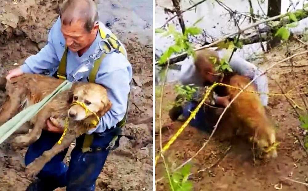 Vermisster Hund steckt im Flussufer fest, aber ihre Rettungsmission nimmt eine hässliche Wendung