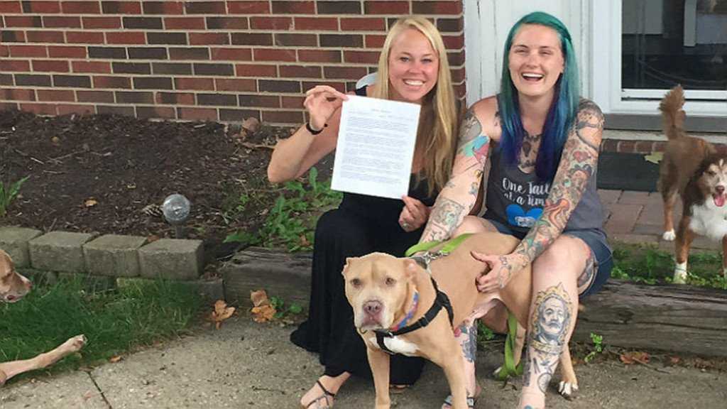 Sie adoptieren einen Hund mit Krebs im Endstadium und machen ihm die letzten Monate seines Lebens zu den glücklichsten