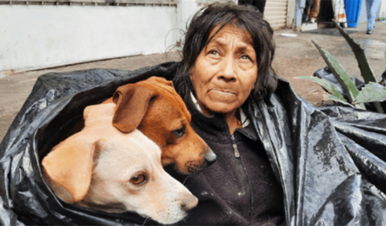 Obdachlose Frau weigert sich, ihre sechs Hunde für ein warmes Bett in einem Tierheim zurückzulassen