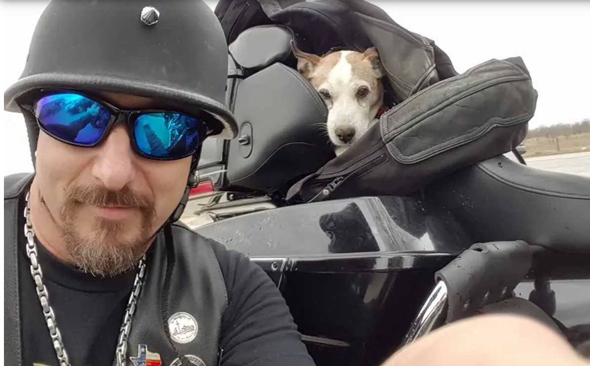 Biker sieht, wie ein Mann auf der Autobahn einen Hund schlägt, also rettet er ihn und macht ihn zu seinem neuen Co-Piloten