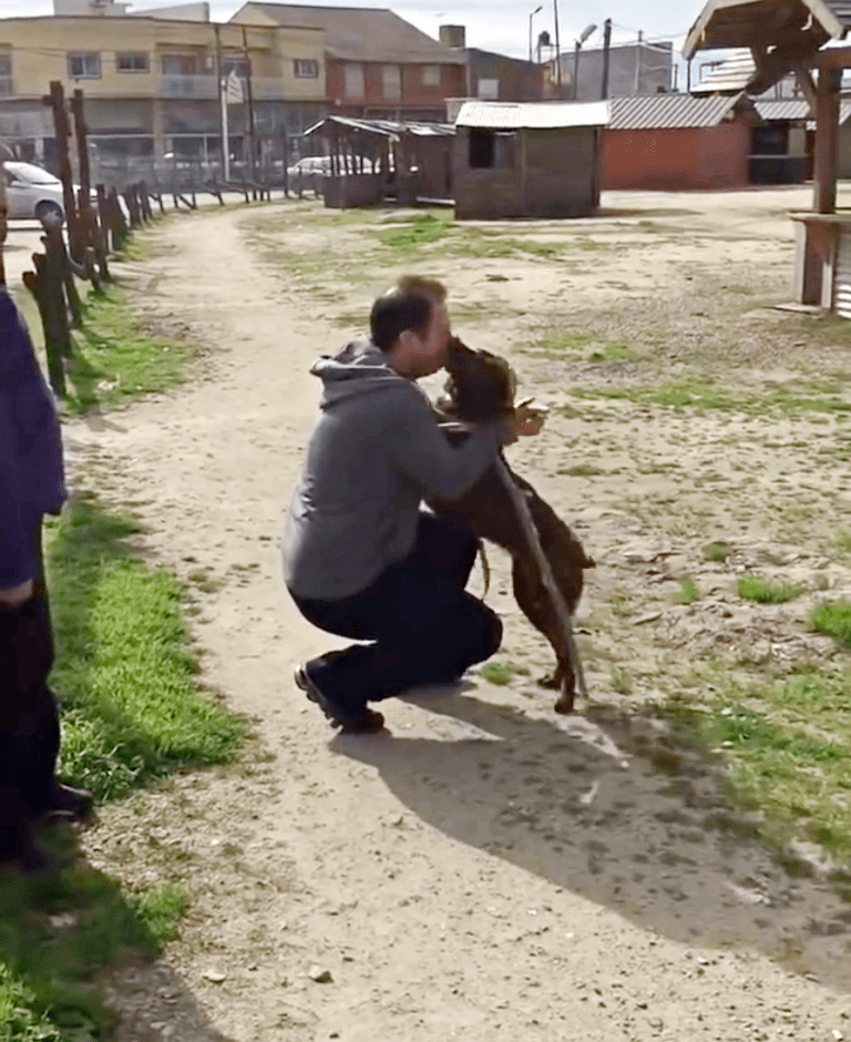 Depressiver Hund war 2 Jahre allein im Tierheim und erkannte einen vertrauten Geruch